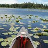 Kanutrip Naturreservat Sporting Lake_19